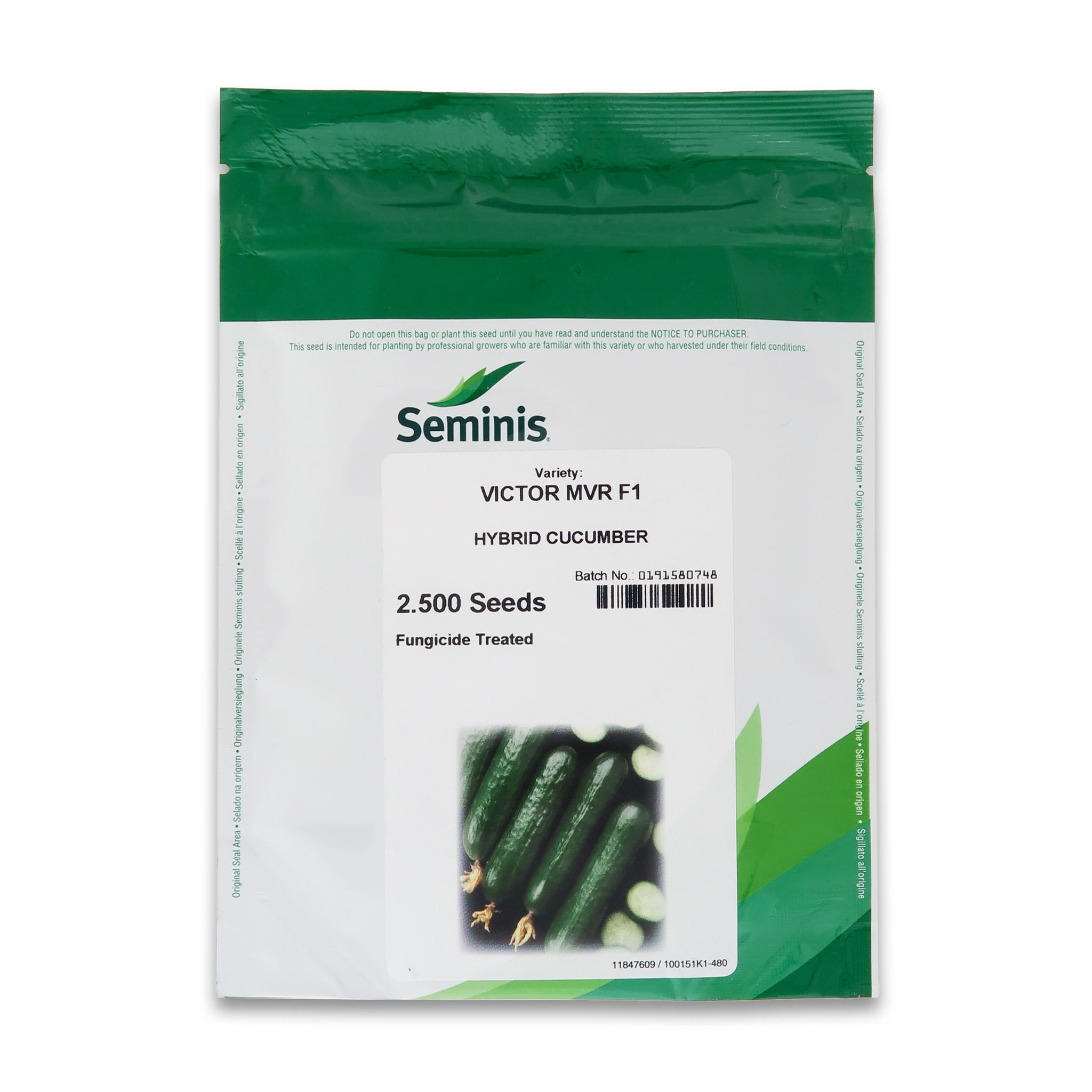 بذر خیار ویکتور ۲۰۲۴