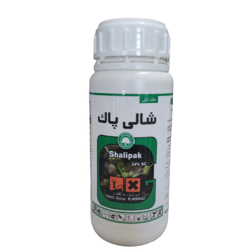 شالی پاک گلسم پنوکسالام