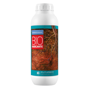 کود بیورادیکانت فیوچراکو اسپانیا