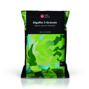 جلبک گرانوله الگاریک