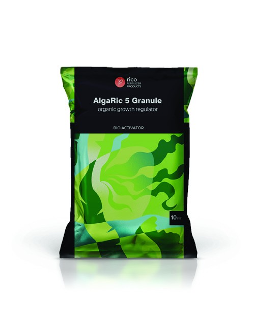 جلبک گرانوله الگاریک