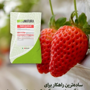 کلسیم پیانتا کلسیم فیتوناتورا ایتالیا