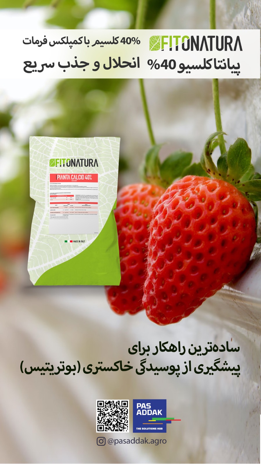 کلسیم پیانتا کلسیم فیتوناتورا ایتالیا